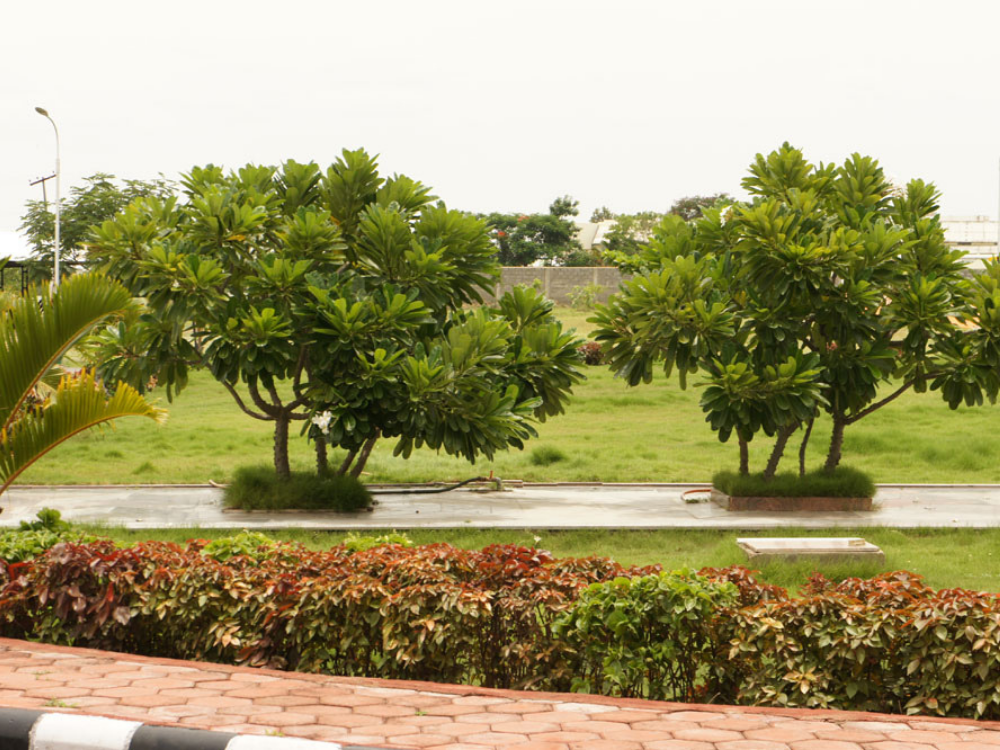 Eco-Friendly Campus